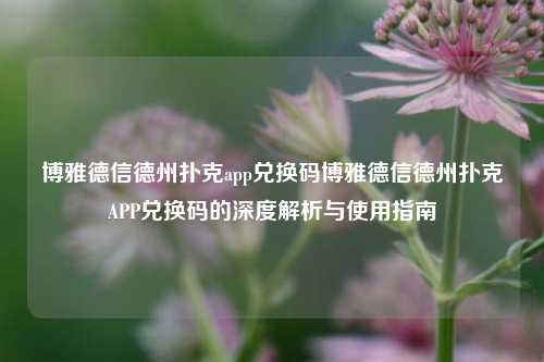 博雅德信德州扑克app兑换码博雅德信德州扑克APP兑换码的深度解析与使用指南