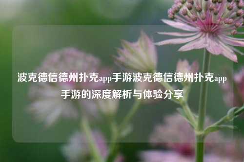 波克德信德州扑克app手游波克德信德州扑克app手游的深度解析与体验分享