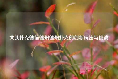 大头扑克德信德州德州扑克的创新玩法与挑战
