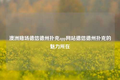 澳洲赌场德信德州扑克app网站德信德州扑克的魅力所在