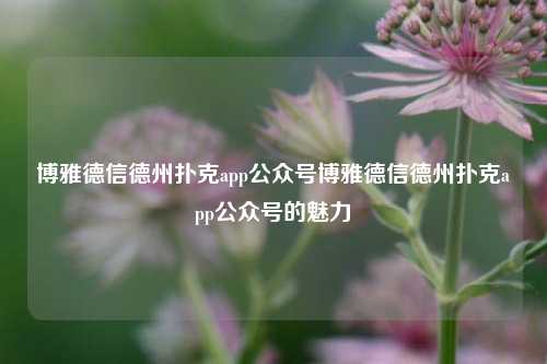 博雅德信德州扑克app公众号博雅德信德州扑克app公众号的魅力