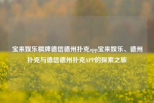 宝来娱乐棋牌德信德州扑克app宝来娱乐、德州扑克与德信德州扑克APP的探索之旅