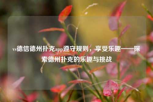 vs德信德州扑克app遵守规则，享受乐趣——探索德州扑克的乐趣与挑战