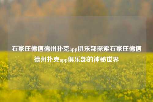 石家庄德信德州扑克app俱乐部探索石家庄德信德州扑克app俱乐部的神秘世界