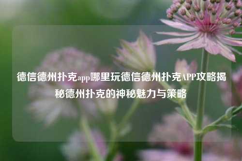 德信德州扑克app哪里玩德信德州扑克APP攻略揭秘德州扑克的神秘魅力与策略