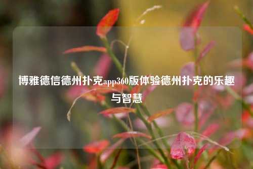 博雅德信德州扑克app360版体验德州扑克的乐趣与智慧