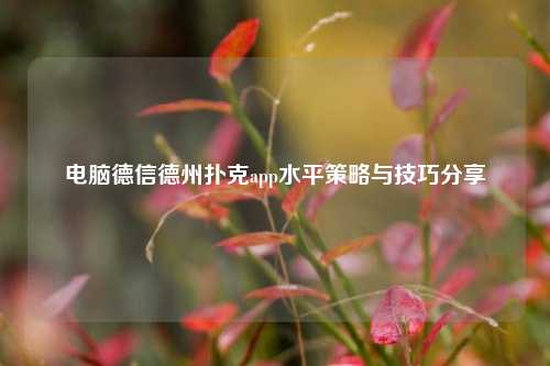 电脑德信德州扑克app水平策略与技巧分享