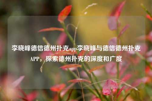 李晓峰德信德州扑克app李晓峰与德信德州扑克APP，探索德州扑克的深度和广度