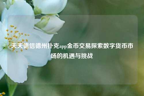 天天德信德州扑克app金币交易探索数字货币市场的机遇与挑战