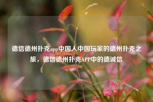 德信德州扑克app中国人中国玩家的德州扑克之旅，德信德州扑克APP中的德诚信