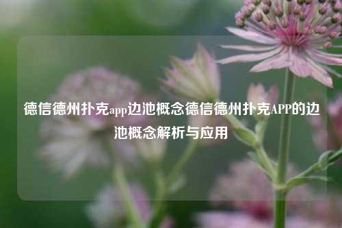德信德州扑克app边池概念德信德州扑克APP的边池概念解析与应用