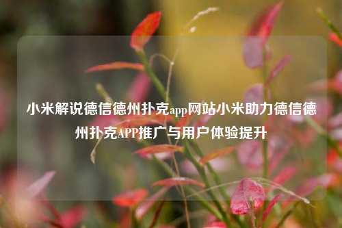 小米解说德信德州扑克app网站小米助力德信德州扑克APP推广与用户体验提升