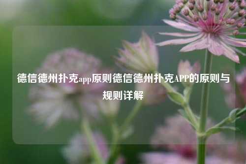 德信德州扑克app原则德信德州扑克APP的原则与规则详解