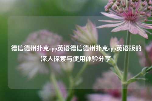 德信德州扑克app英语德信德州扑克app英语版的深入探索与使用体验分享