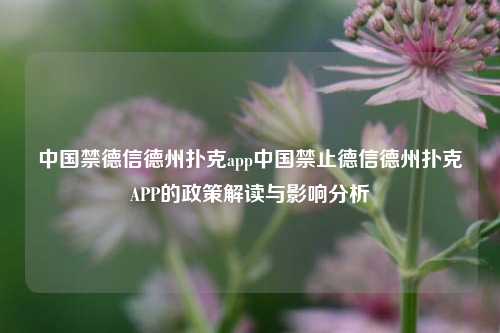 中国禁德信德州扑克app中国禁止德信德州扑克APP的政策解读与影响分析