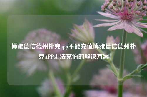 博雅德信德州扑克app不能充值博雅德信德州扑克APP无法充值的解决方案