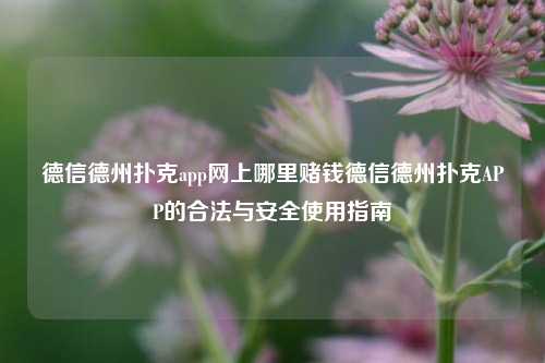 德信德州扑克app网上哪里赌钱德信德州扑克APP的合法与安全使用指南