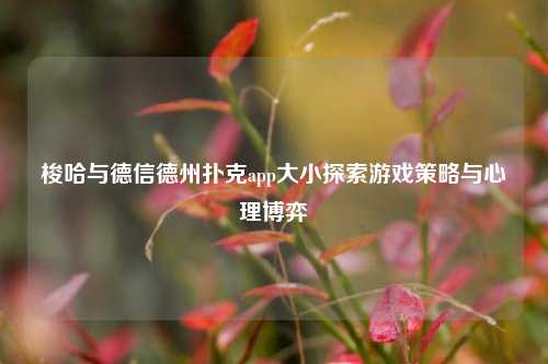 梭哈与德信德州扑克app大小探索游戏策略与心理博弈
