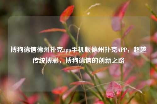 博狗德信德州扑克app手机版德州扑克APP，超越传统博彩，博狗德信的创新之路
