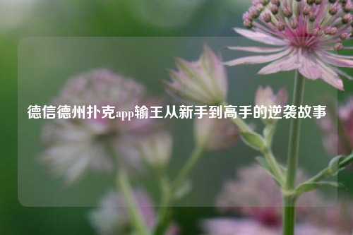 德信德州扑克app输王从新手到高手的逆袭故事