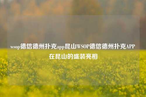 wsop德信德州扑克app昆山WSOP德信德州扑克APP在昆山的盛装亮相