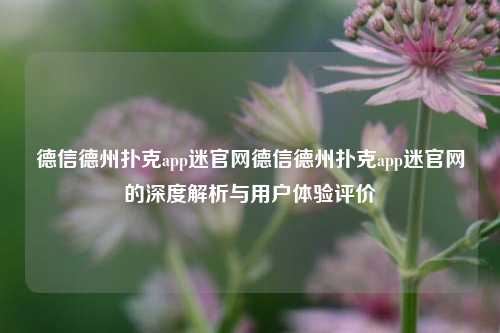 德信德州扑克app迷官网德信德州扑克app迷官网的深度解析与用户体验评价