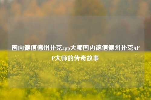 国内德信德州扑克app大师国内德信德州扑克APP大师的传奇故事