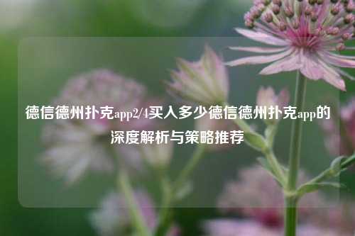 德信德州扑克app2/4买入多少德信德州扑克app的深度解析与策略推荐