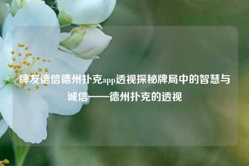 牌友德信德州扑克app透视探秘牌局中的智慧与诚信——德州扑克的透视