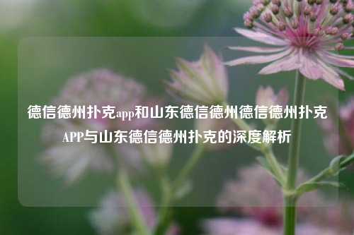 德信德州扑克app和山东德信德州德信德州扑克APP与山东德信德州扑克的深度解析