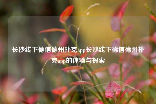 长沙线下德信德州扑克app长沙线下德信德州扑克app的体验与探索