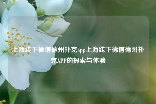 上海线下德信德州扑克app上海线下德信德州扑克APP的探索与体验
