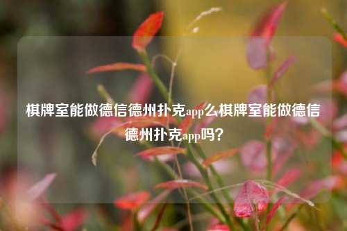 棋牌室能做德信德州扑克app么棋牌室能做德信德州扑克app吗？