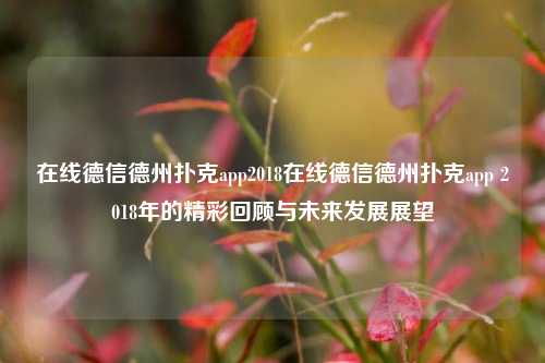 在线德信德州扑克app2018在线德信德州扑克app 2018年的精彩回顾与未来发展展望