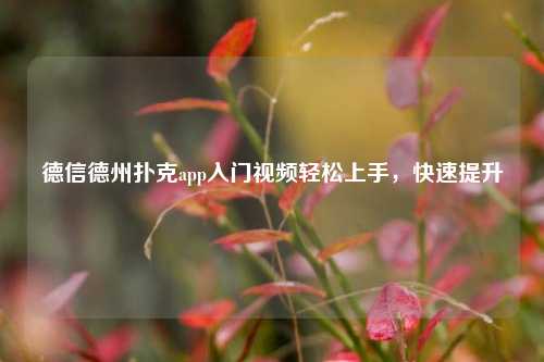 德信德州扑克app入门视频轻松上手，快速提升