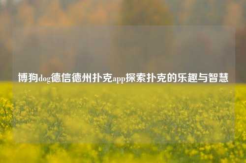 博狗dog德信德州扑克app探索扑克的乐趣与智慧