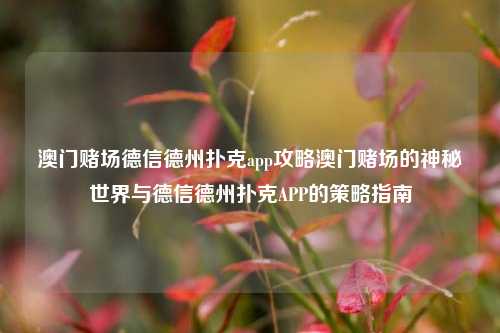 澳门赌场德信德州扑克app攻略澳门赌场的神秘世界与德信德州扑克APP的策略指南