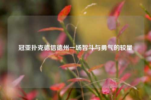 冠亚扑克德信德州一场智斗与勇气的较量