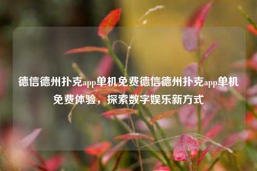 德信德州扑克app单机免费德信德州扑克app单机免费体验，探索数字娱乐新方式