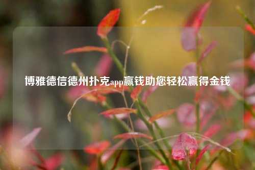 博雅德信德州扑克app赢钱助您轻松赢得金钱