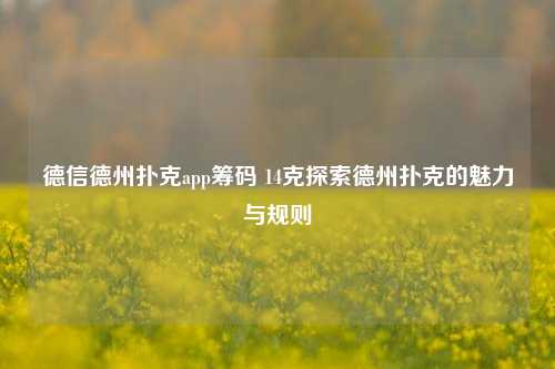 德信德州扑克app筹码 14克探索德州扑克的魅力与规则