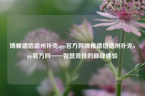 博雅德信德州扑克app官方网博雅德信德州扑克app官方网——智慧竞技的巅峰体验