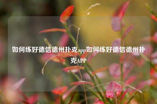 如何练好德信德州扑克app如何练好德信德州扑克APP