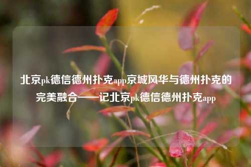 北京pk德信德州扑克app京城风华与德州扑克的完美融合——记北京pk德信德州扑克app