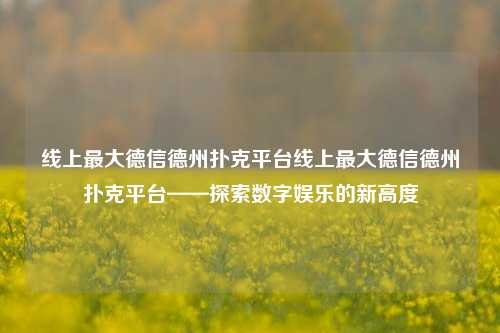 线上最大德信德州扑克平台线上最大德信德州扑克平台——探索数字娱乐的新高度