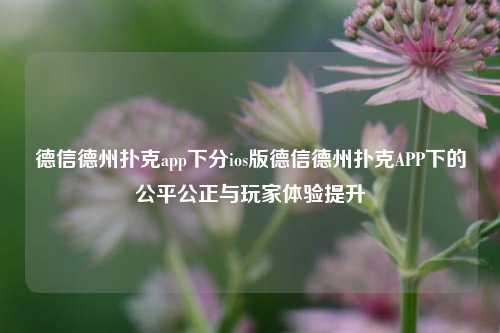德信德州扑克app下分ios版德信德州扑克APP下的公平公正与玩家体验提升