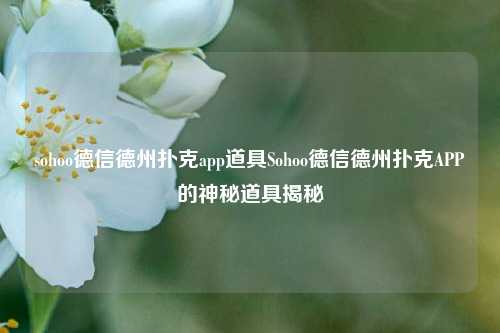 sohoo德信德州扑克app道具Sohoo德信德州扑克APP的神秘道具揭秘
