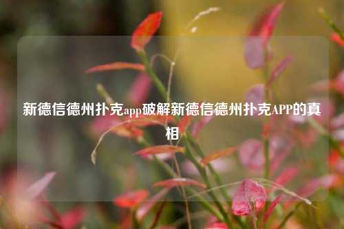 新德信德州扑克app破解新德信德州扑克APP的真相