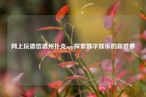 网上玩德信德州扑克app探索数字娱乐的新世界