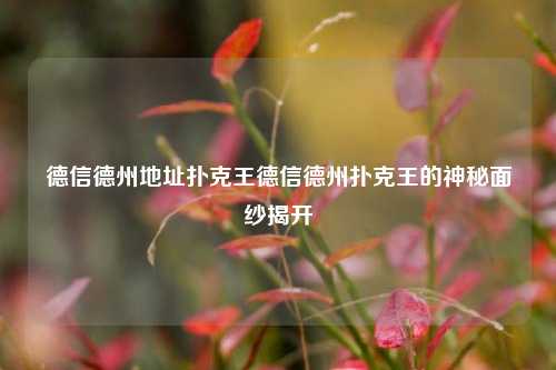 德信德州地址扑克王德信德州扑克王的神秘面纱揭开